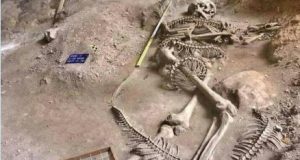 Scheletro Umano di Gigante trovato a Krabi