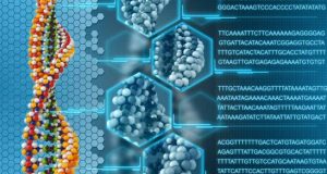Informatica del futuro: DNA da utilizzare come Dischi Rigidi