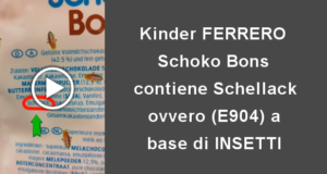 Kinder FERRERO con additivo “Schellack – E904” a base di insetti