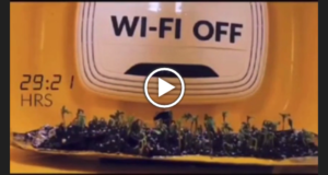 Effetto negativo del WiFi sulle piante